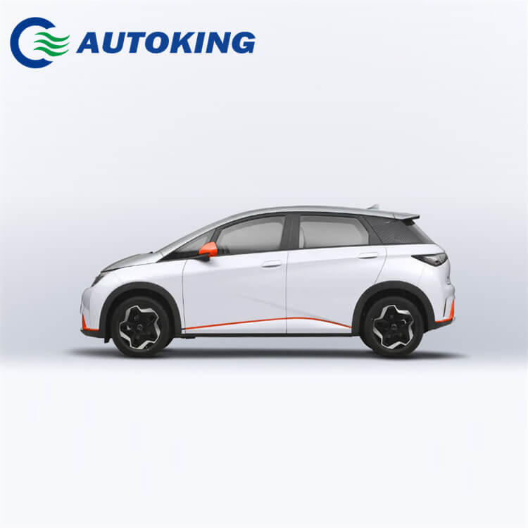 New Energy Vehicle Micro for BYD Dolphin