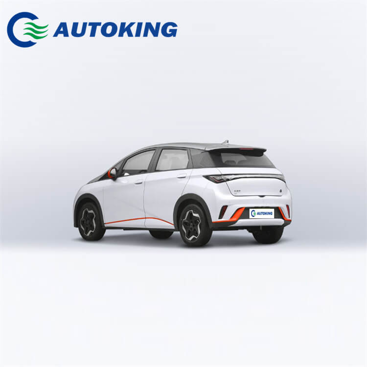 New Energy Vehicle Micro for BYD Dolphin