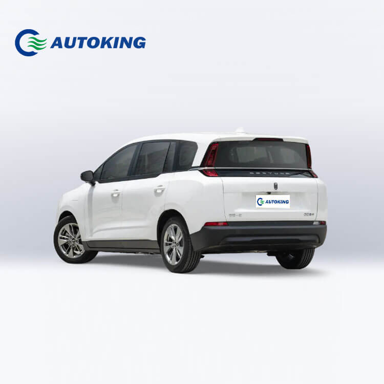 Autoking Bestune NAT MPV for Best Price