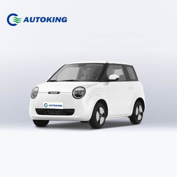 Compact and Convenient Micro Vehicle for Changan Lumin