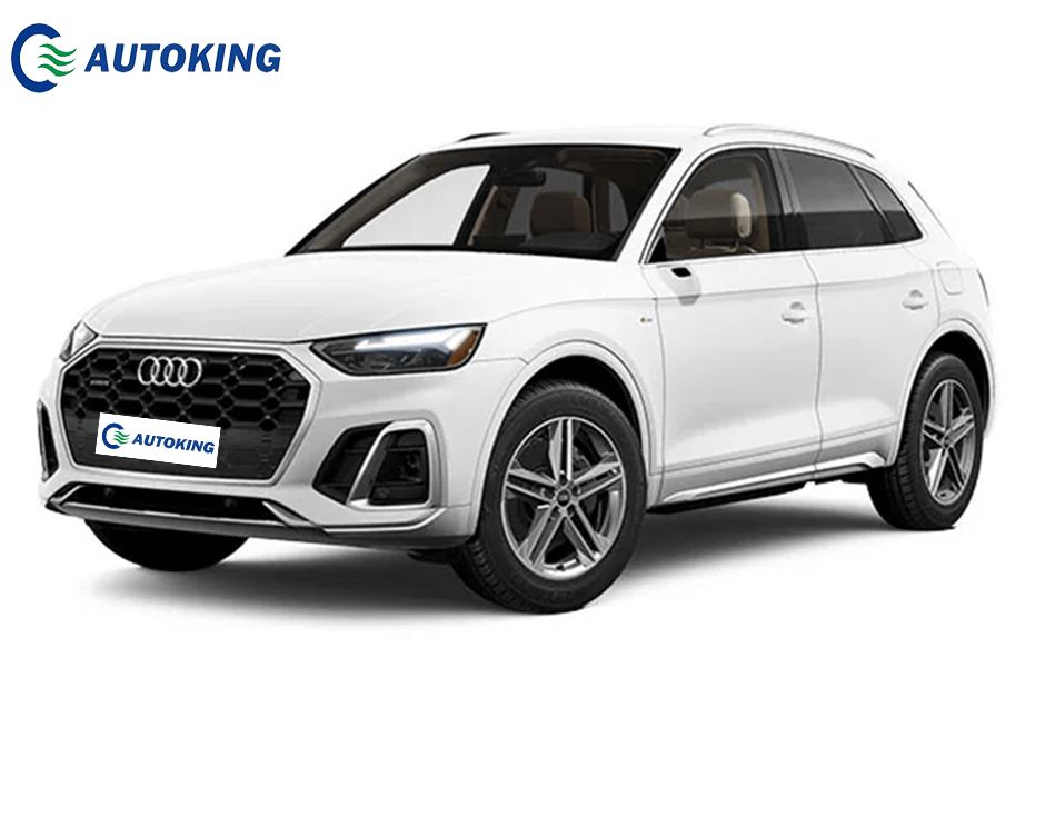 Audi Q5 e-tron SUV from Autoking Hot Sale