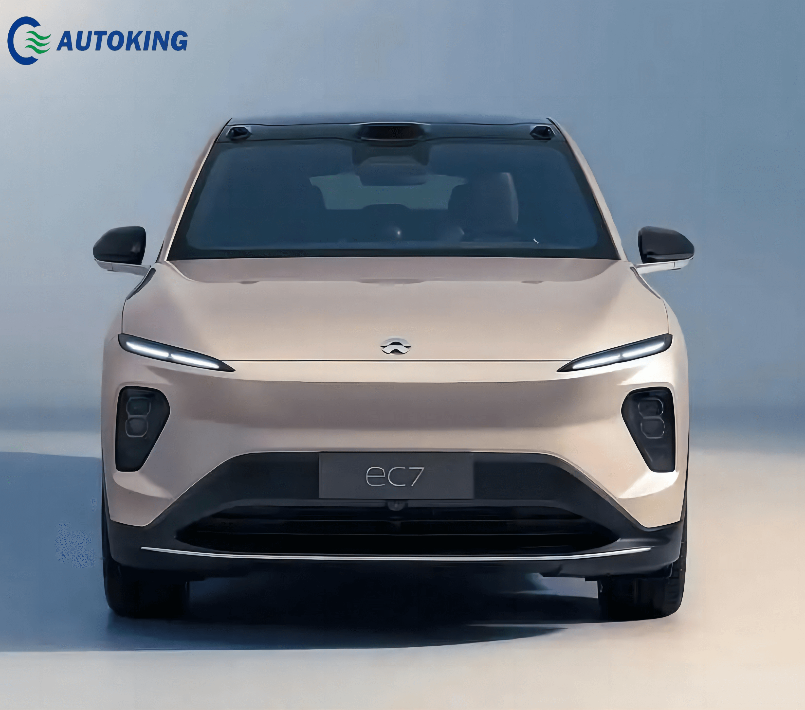 Electric Vehicle NIO EC7 SUV Hot Sale