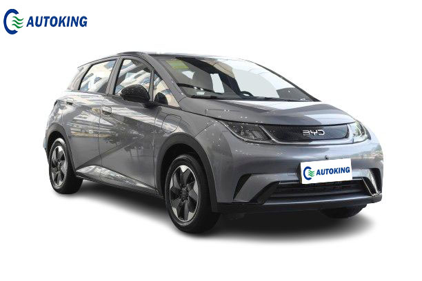 Small New EV Car BYD Sealgull From Autoking Good Discount