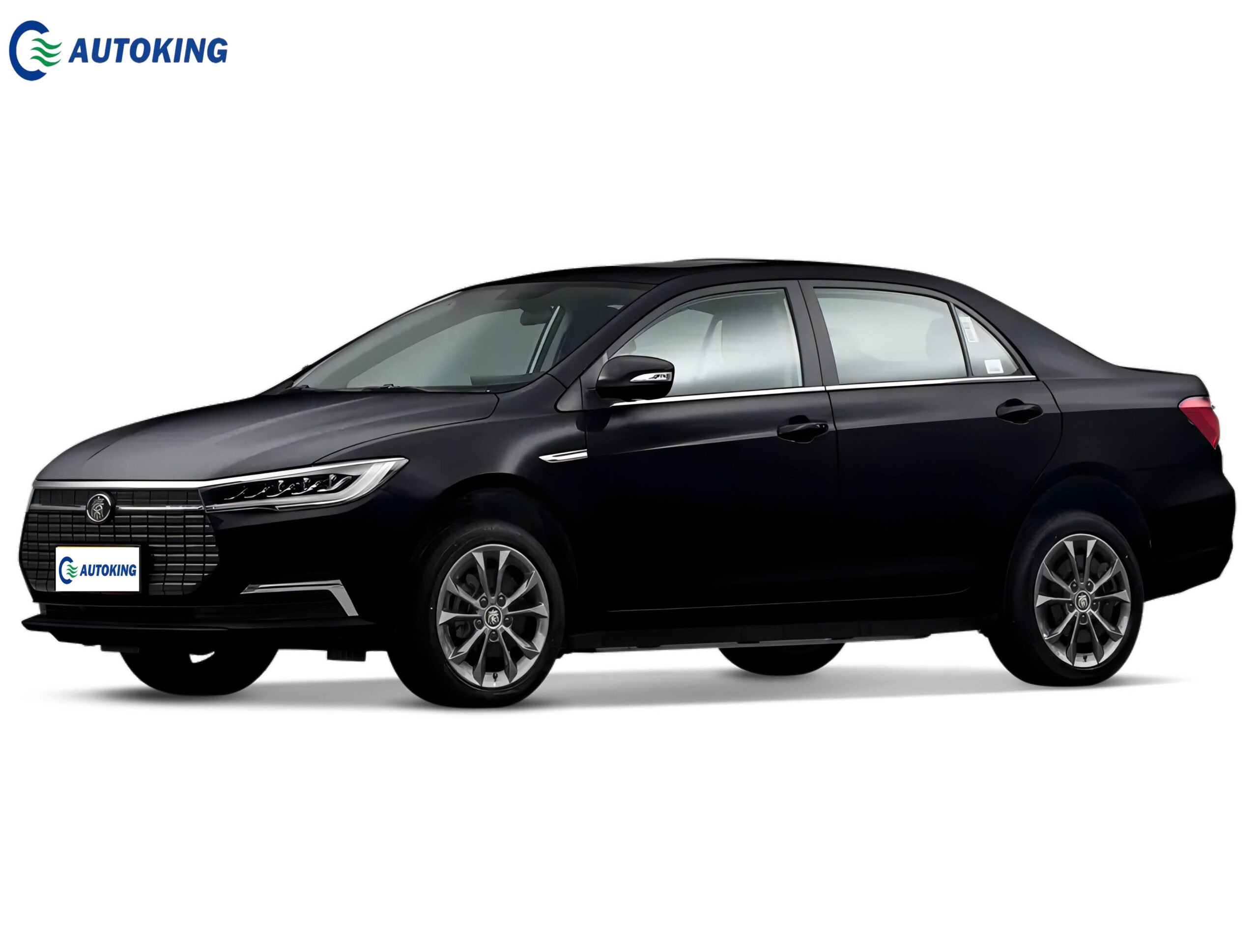 China BYD Qin EV Sedan From Autoking Best Supplier